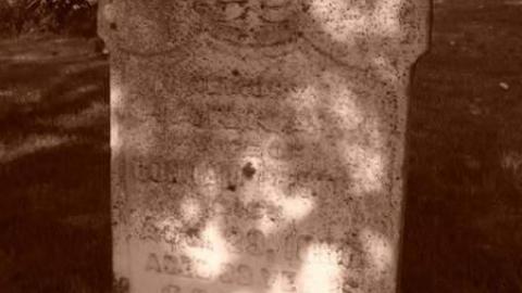 Photo from Erin Pioneers