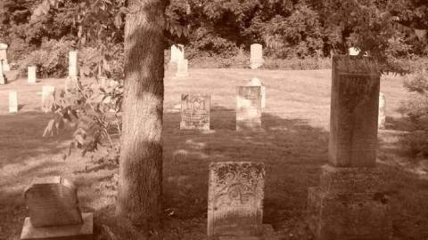 Erin Pioneers - Ballinafad-Pioneer-Cemetery51.jpg