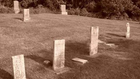 Erin Pioneers - Ballinafad-Pioneer-Cemetery12.jpg