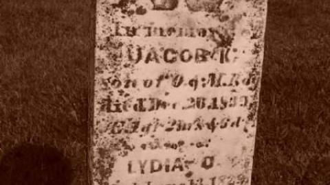 Erin Pioneers - Ballinafad-Pioneer-Cemetery13.jpg