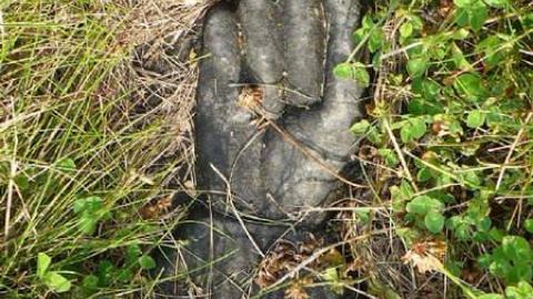 Erin Pioneers - Ballinafad-Pioneer-Cemetery57.jpg