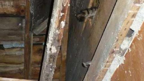 Photo from July 2014