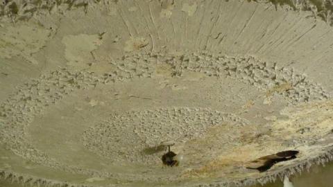 July 2014 - Left-To-Rot-in-Gibraltar24.jpg