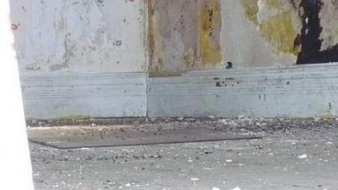 July 2014 - Left-To-Rot-in-Gibraltar62.jpg