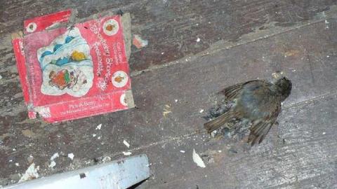 July 2014 - Left-To-Rot-in-Gibraltar35.jpg