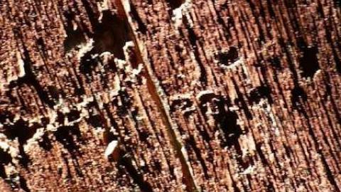 July 2014 - Left-To-Rot-in-Gibraltar36.jpg