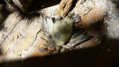 July 2014 - Left-To-Rot-in-Gibraltar65.jpg