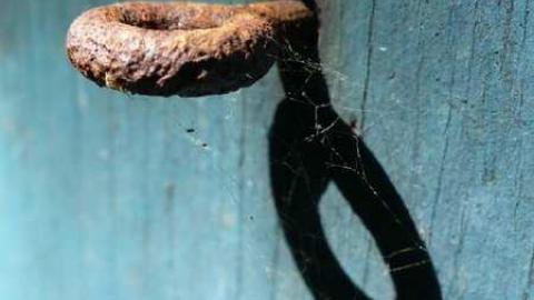 July 2014 - Left-To-Rot-in-Gibraltar94.jpg