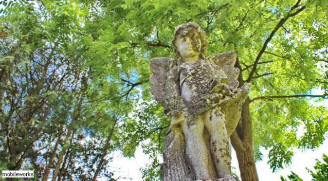 St. Clement's Pioneer Cemetery photo 2