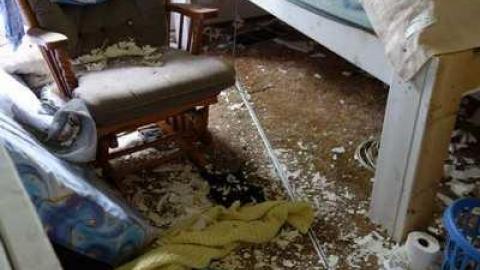 Beds R Us - DSC06789.jpg