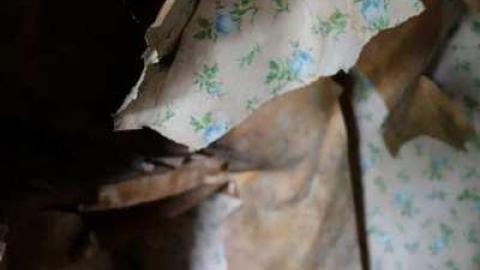 Beds R Us - DSC06843.jpg