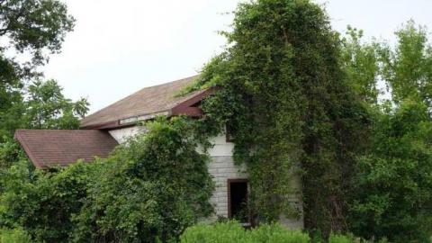 Beds R Us - DSC06883.jpg