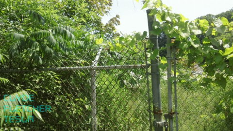 Friday 25th July 2014 - Stelco-Fastener15.png