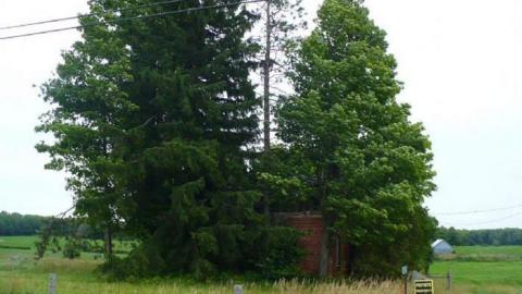 July 2014 - Blantyre-Ghost-Town16.jpg