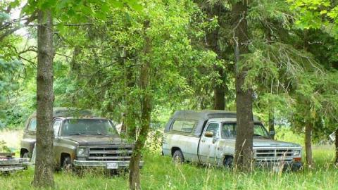 July 2014 - Blantyre-Ghost-Town22.jpg