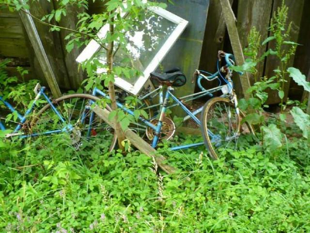 Blantyre Ghost Town photo 2