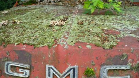 July 2014 - Blantyre-Ghost-Town33.jpg