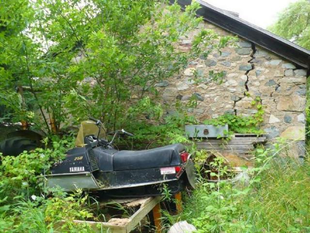 Blantyre Ghost Town photo 4