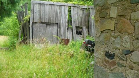 Photo from July 2014