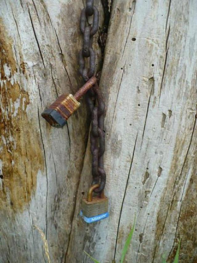 Blantyre Ghost Town photo 5