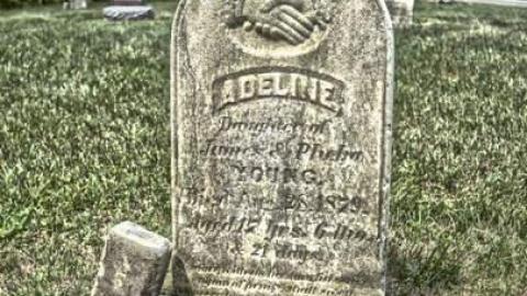 Pet Cemetery July 2014 - DSC_0050.jpg