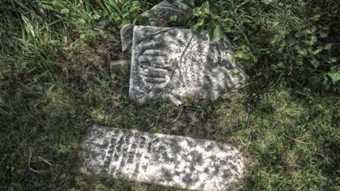 Pet Cemetery July 2014 - DSC_0075.jpg