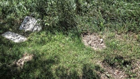 Young's Pioneer Cemetery photo 5