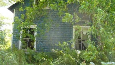 Coopers Falls - Coopers-Falls-Ghost-Town231.jpg