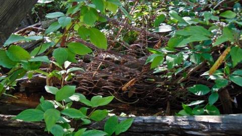 Kam Pioneer House - Kam-Pioneer-House4.jpg