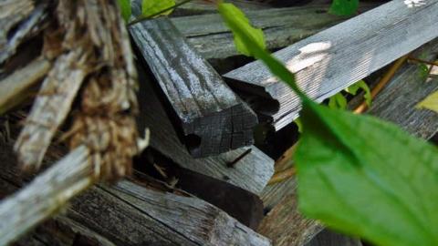 Kam Pioneer House photo 3