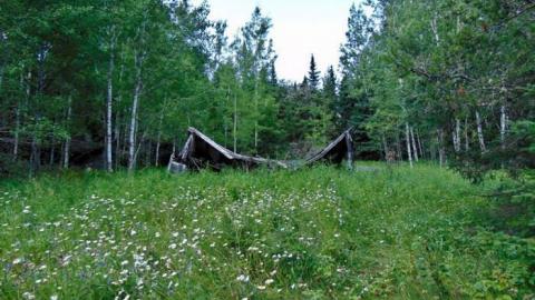 Burned in Lappe - Burned-in-Lappe1.jpg