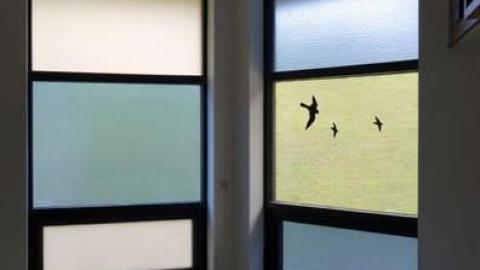 Holy Emptiness - DSC07633.jpg