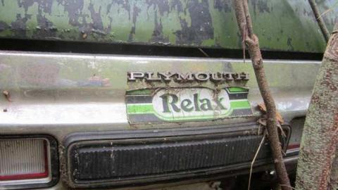 The Collection - Salvage-Yard3.jpg