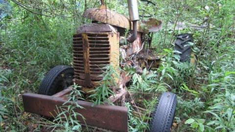 The Collection - Salvage-Yard19.jpg