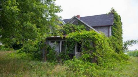 Photo from August 3rd, 2014