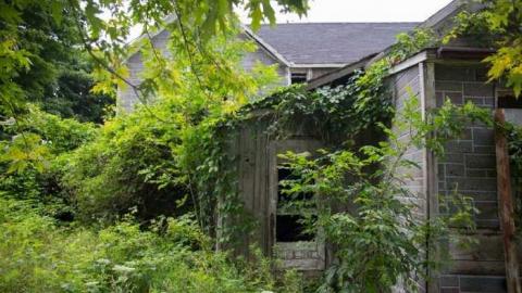 Photo from August 3rd, 2014