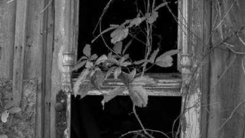 August 3rd, 2014 - Hill-Road44.jpg