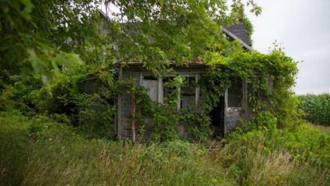 August 3rd, 2014 - Hill-Road11.jpg