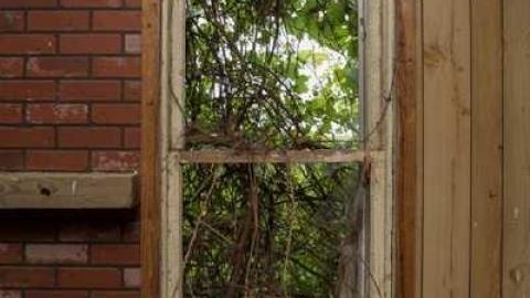 August 3rd, 2014 - Hill-Road14.jpg