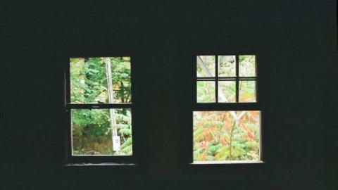 David Whaley House photo 4