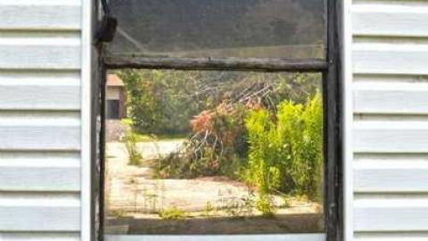 Photo from August 4, 2014