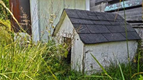 August 4, 2014 - DSC_0465e0.jpg