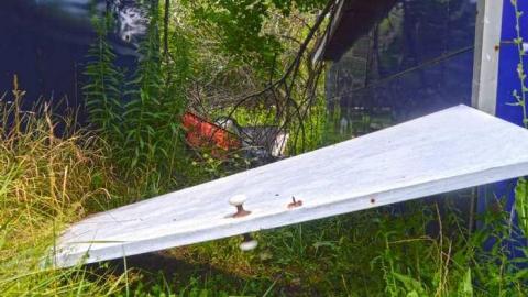 August 4, 2014 - DSC_0469e0.jpg