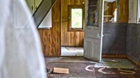 August 4, 2014 - DSC_0476e0.jpg