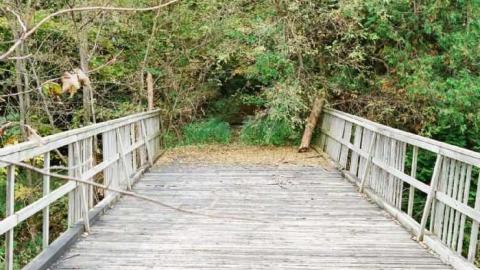 '10 visit - David-Whaley-House25.jpg