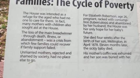 The Poorhouse Cemetery photo 5