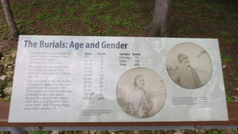 The Poorhouse Cemetery photo 4