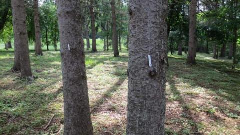 Resting Place - The-Poorhouse-Cemetery51.jpg