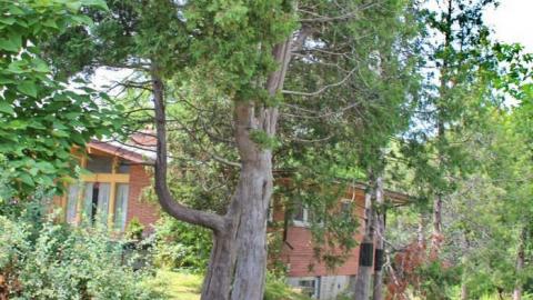 Jim's Bungalow B4 - CircleDcision20.jpg