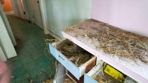 (Abandon) Hope - No-Hope-(Island)34.jpg